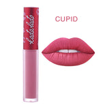 Brand Waterproof Long Lasting Nude Lipstick